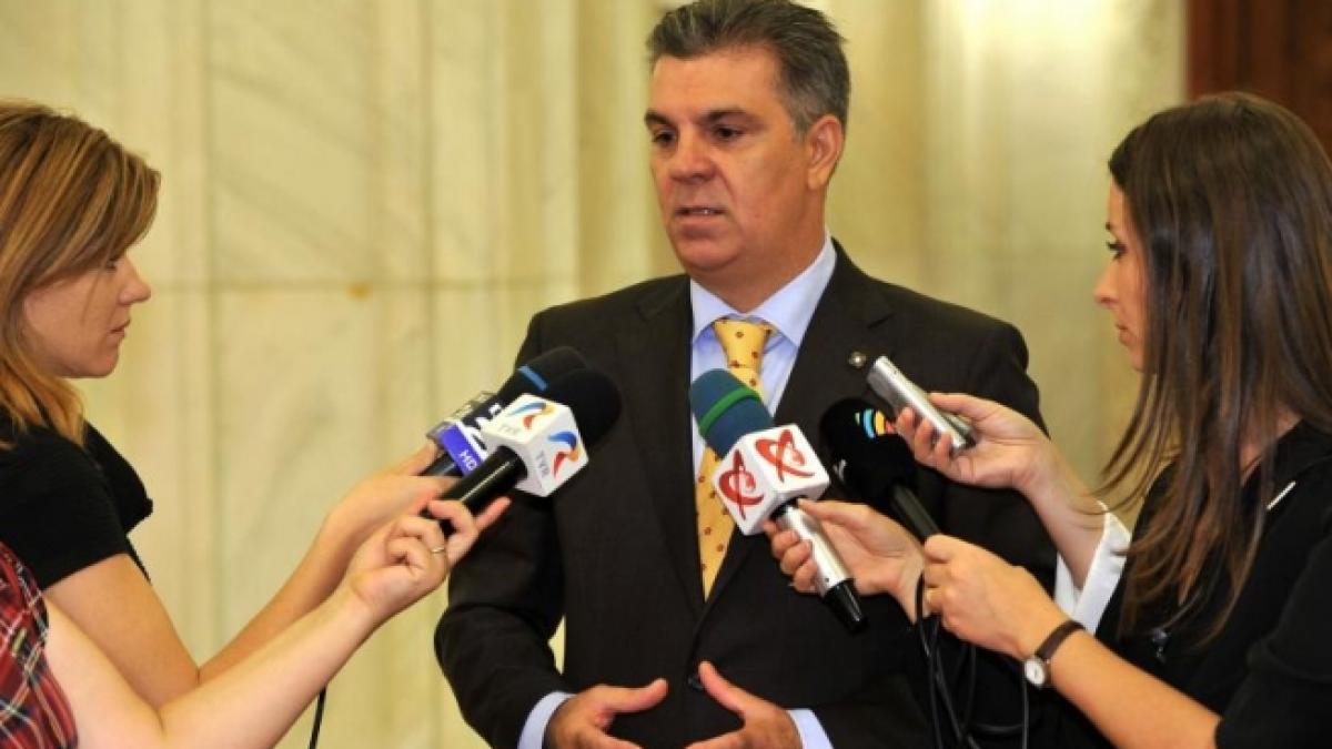 Zgonea: Solicit celor de la PDL să fie decenţi în problema câinilor comunitari. Este o contradicţie ridicolă în discursul lor