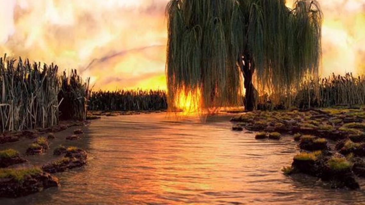 ai jura ca sunt reale peisaje spectaculoase in miniatura