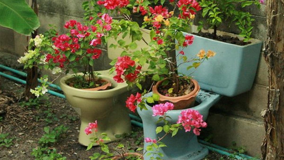 raportul care arata gradul scazut al civilizatiei din romania suntem fruntasi la numarul de