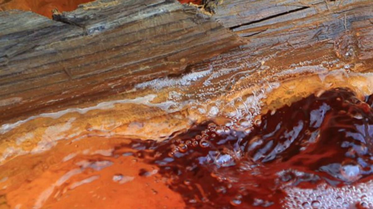 ministrul mediului la rosia montana este o adevarata bomba ecologica