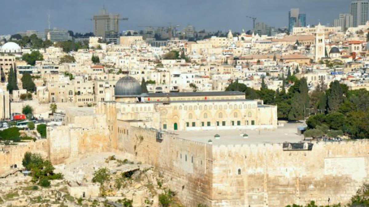 o descoperire care iti taie rasuflarea si apare o singura data in viata un adevarat tezaur gasit in