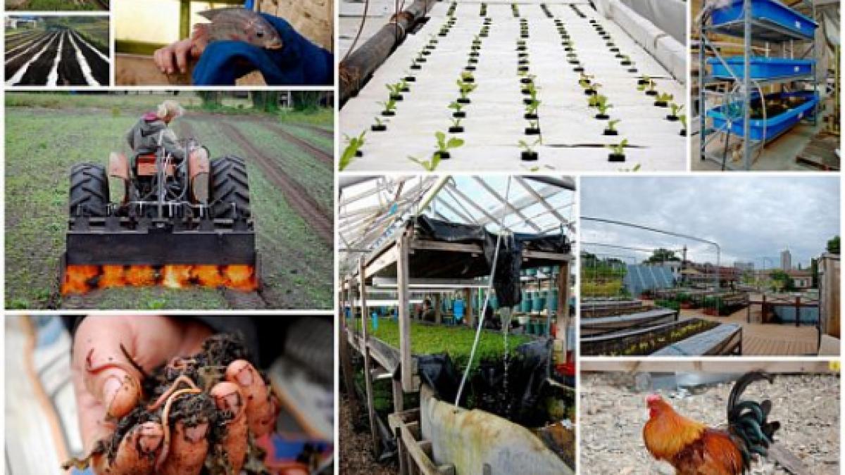 sprijinul pentru tinerii fermieri ar putea creste anul viitor la 70 000 de euro