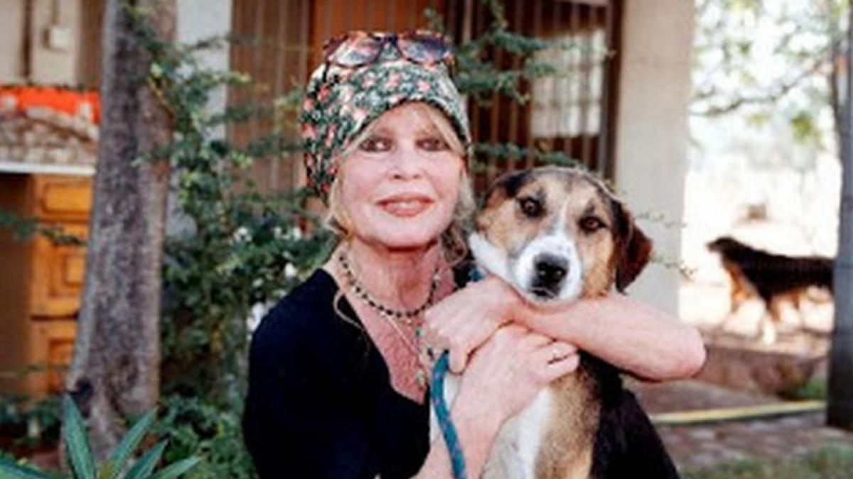 acest tiran nu se gandeste decat sa ucida si condamn politica sa dictatoriala nedemna de un stat