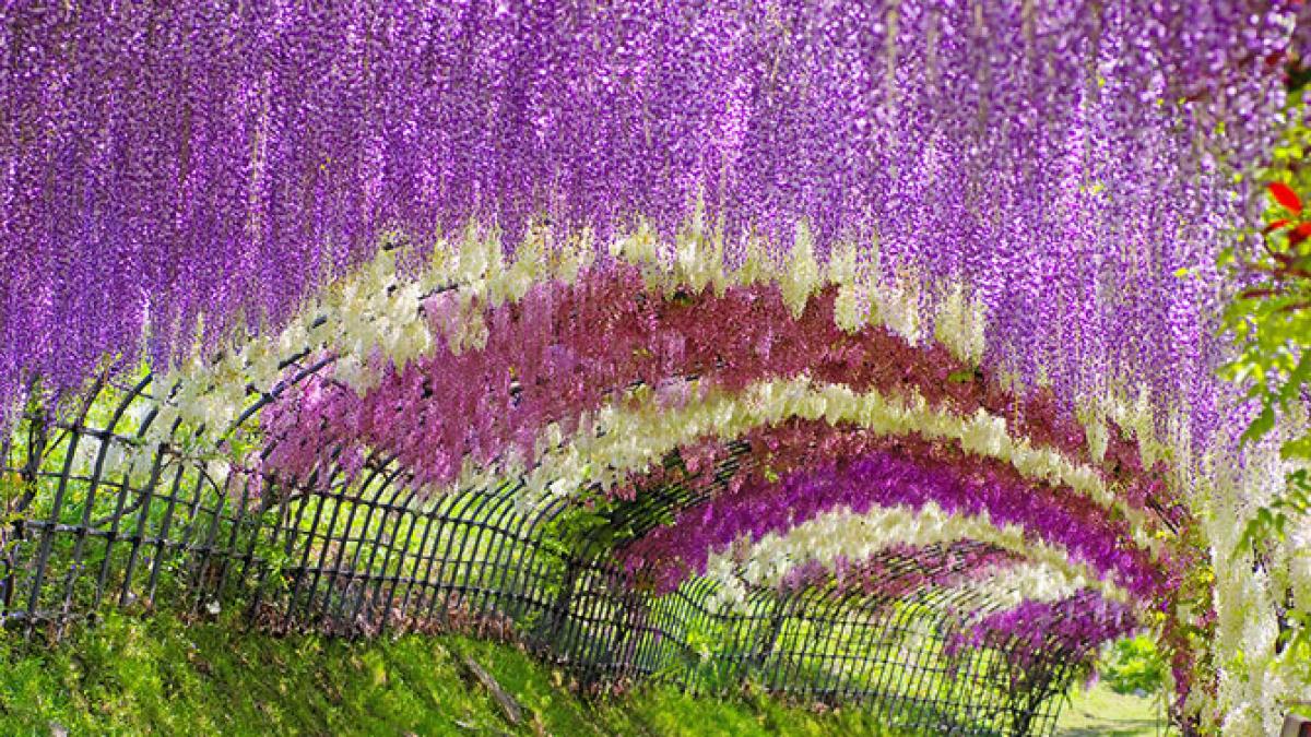 cele mai frumoase 28 de locuri din lume galerie foto