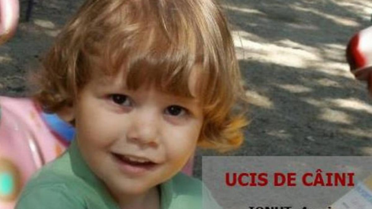 tatal copilului ucis de maidanezi la parchetul instantei supreme de vina sunt cainii