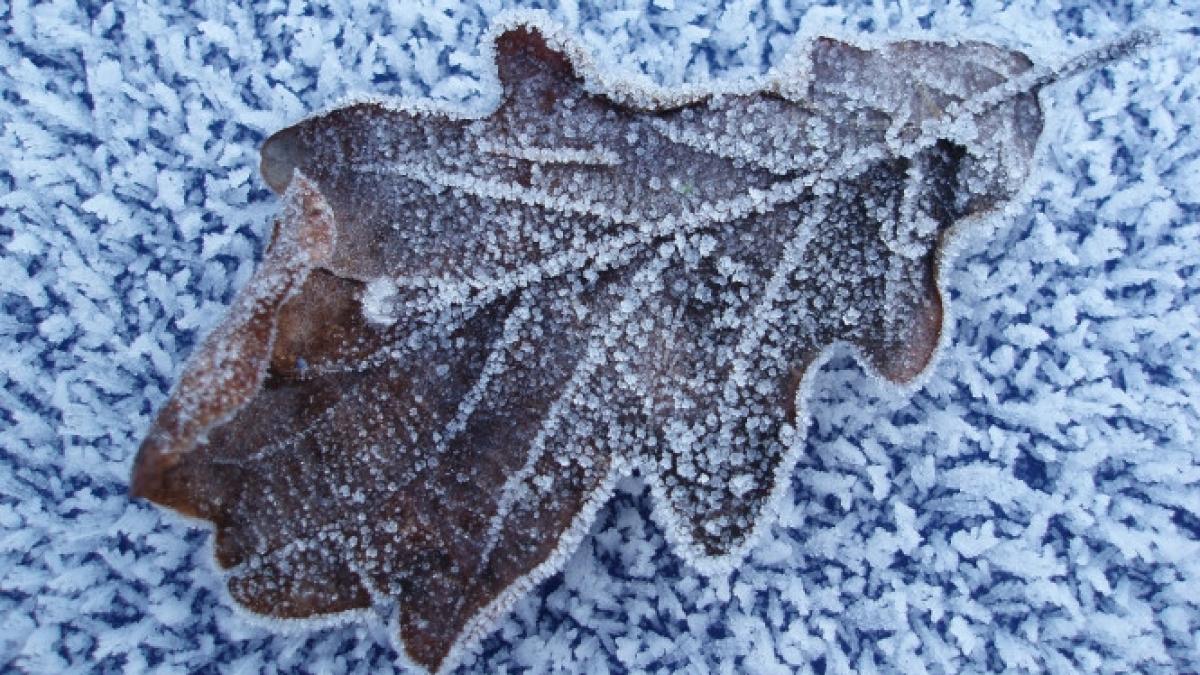 climatologii anm infirma ipoteza celei mai geroase ierni din ultimii 100 de ani