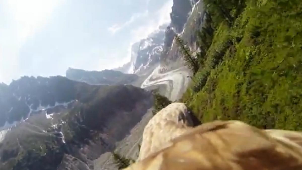 imagini incredibile din alpii francezi de pe spatele unui vultur