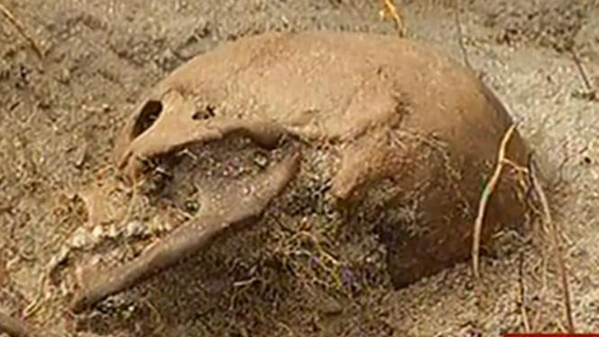 zeci de tortionari isi traiesc linistiti viata cu pensii uriase ficior despre visinescu nu ma