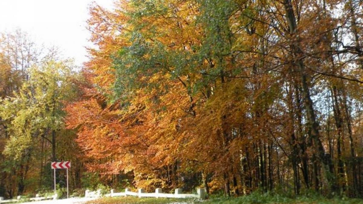 circulatia pe transfagarasan blocata din cauza zapezii