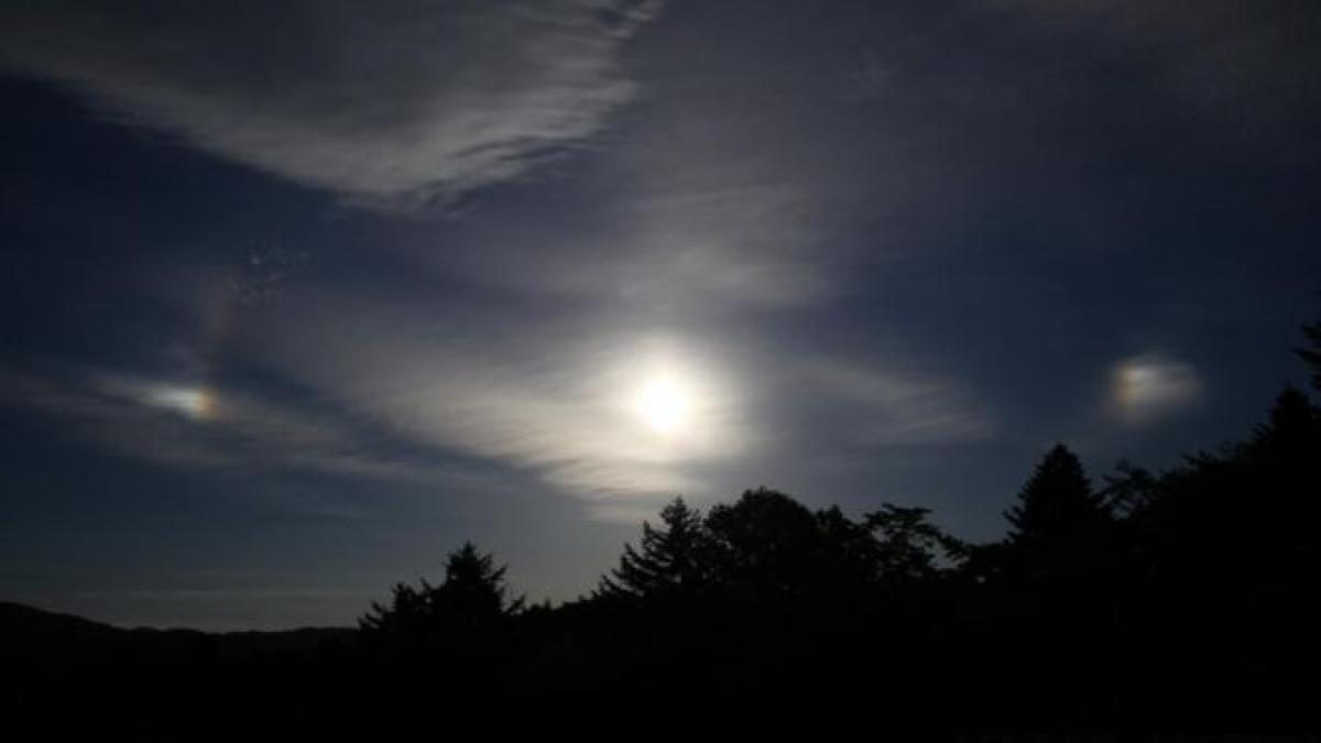 o echipa de cercetatori britanici sustine ca a descoperit viata extraterestra