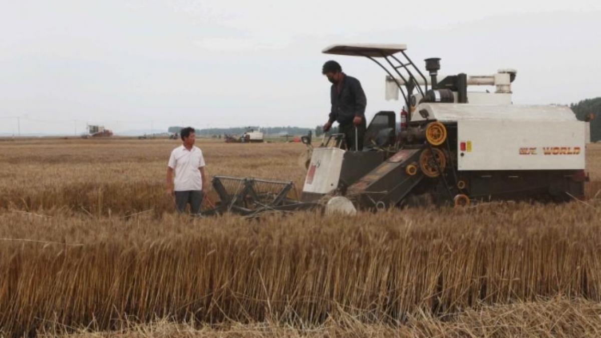china demareaza cel mai mare proiect agricol din lume