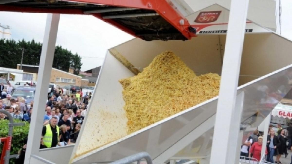 cum arata un record mondial cu cartofi prajiti