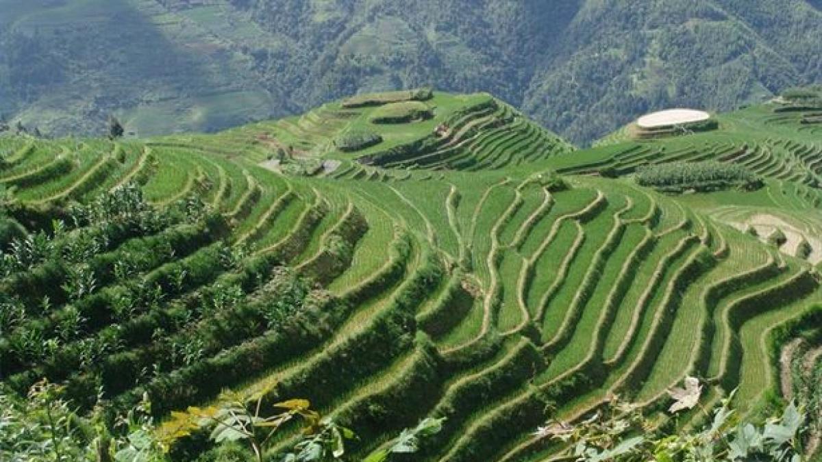 miscarea fara precedent pe care china o face langa romania va hrani gigantul asiatic