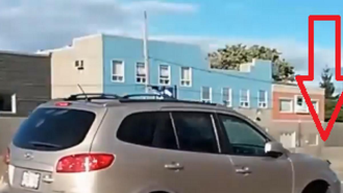 o femeie la volan a innebunit internetul cum a reusit sa conduca masina pe autostrada