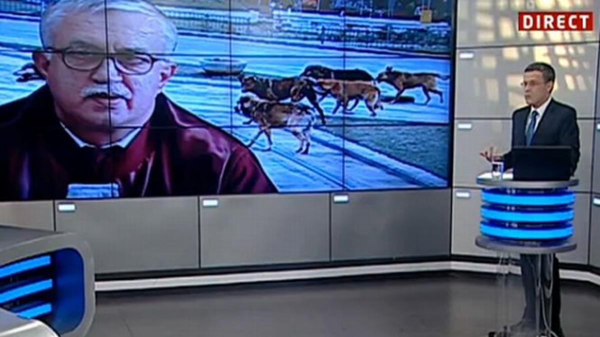 dragos frumosu as putea trage concluzia ca domnul zegrean a fost muscat de o oaie turbata