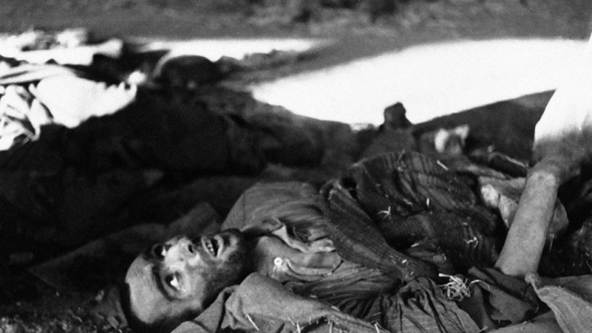 descoperirea care schimba istoria germania a incremenit la aflarea vestii