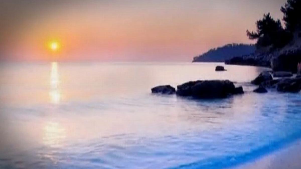 angajatul se distreaza seful plateste statul ar putea sa i trimita pe romani in vacanta gratuit