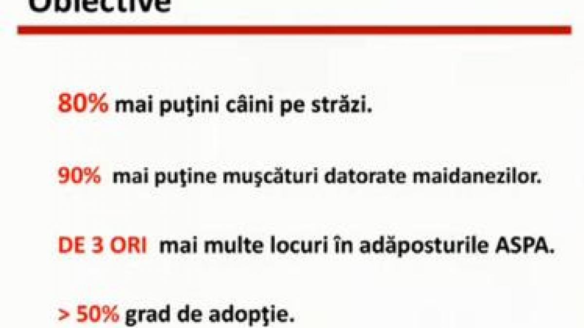 planul lui oprescu pentru cainii fara stapan colectare in 18 luni la un cost de 4 5 milioane de lei