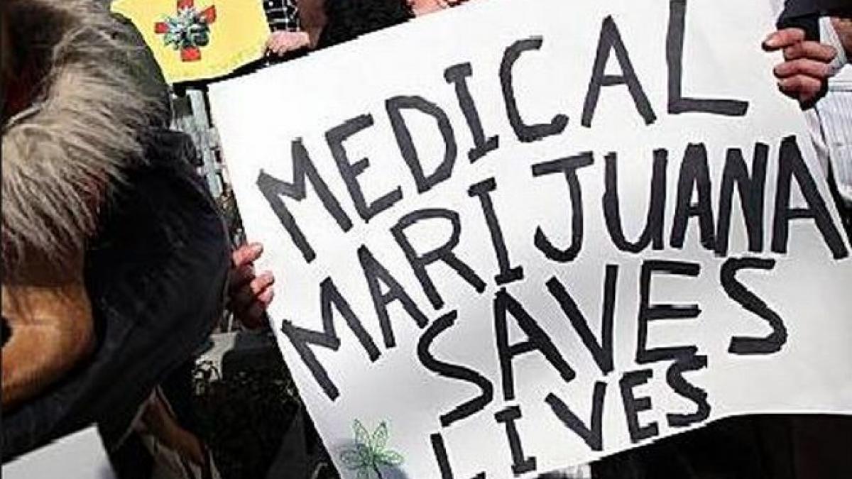 initiativa medicala in canada medicii pot prescrie marijuana pacientilor