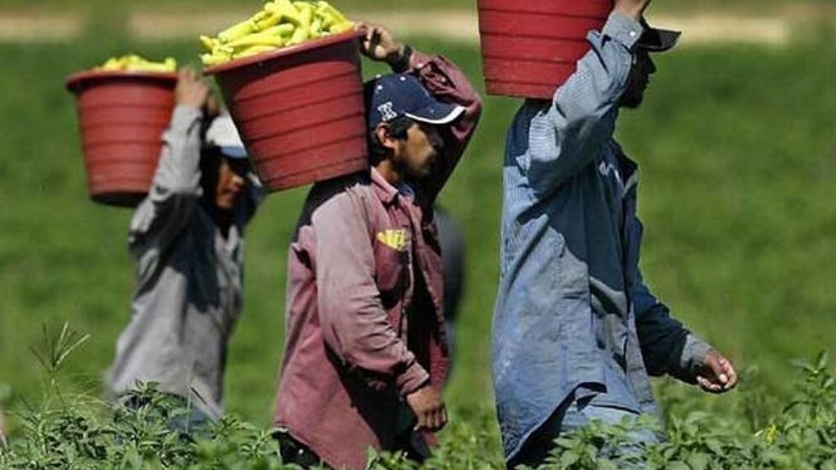 raportul bancii mondiale care arata cati bani vor trimite anul acesta in tara romanii aflati in