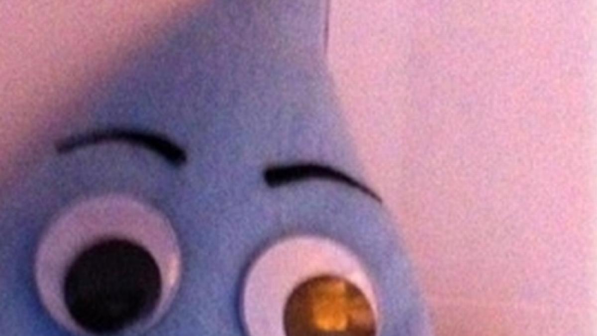 guvernul romaniei va cumpara 3000 de mascote botezate picurici