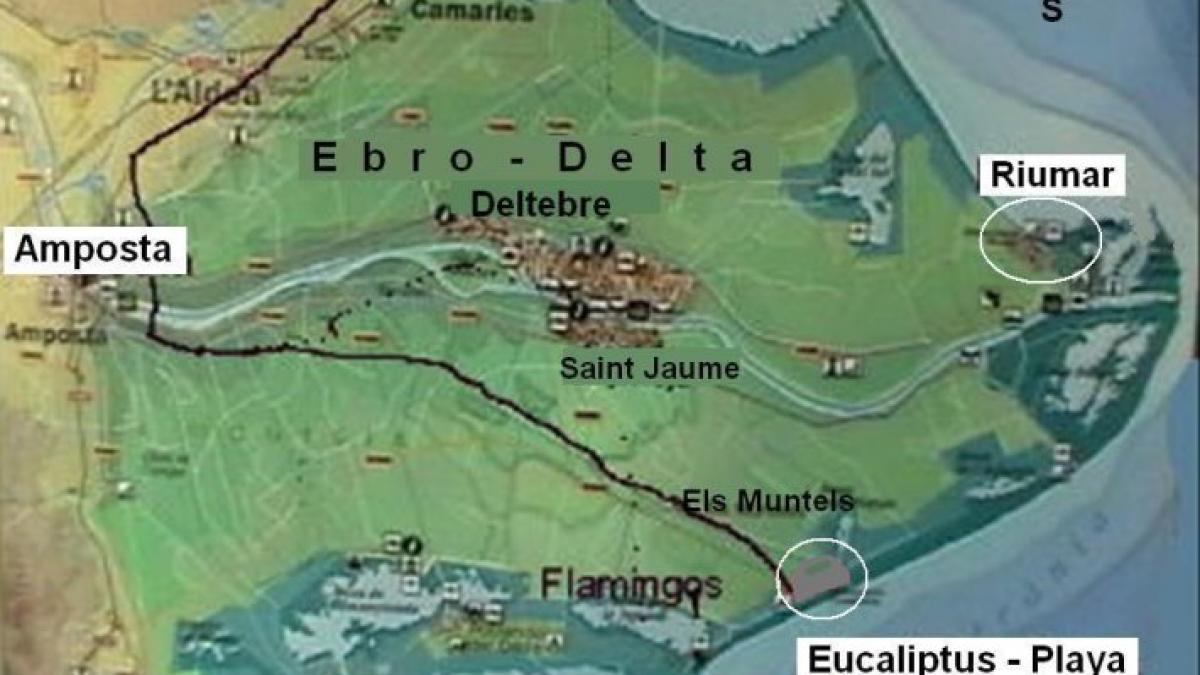 o situatie asemanatoare celei din galati a ingrozit spania 300 de cutremure in 30 de zile au avut