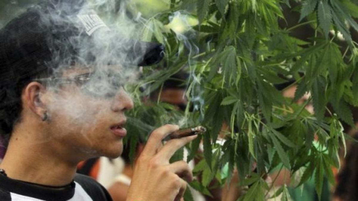 romania a luat o decizie istorica privind consumul de marijuana