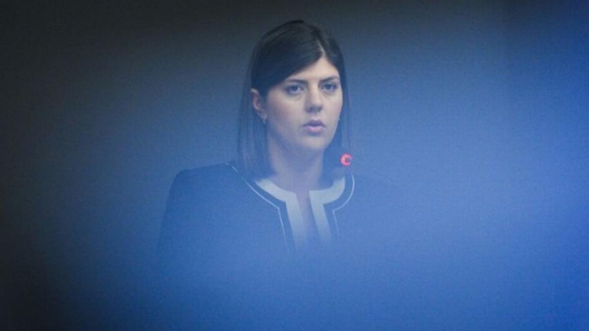 sefa dna laura codruta kovesi isi face serviciu secret