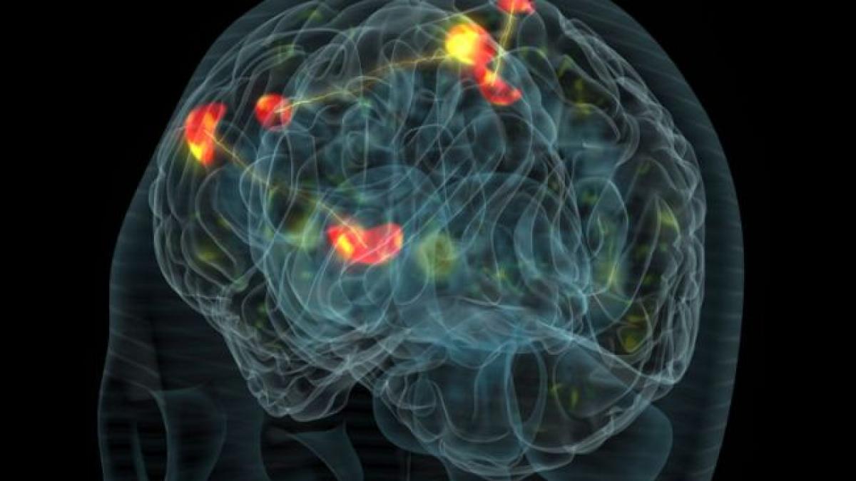 s au straduit sute de ani sa l inteleaga abia acum oamenii de stiinta cred ca au gasit solutia