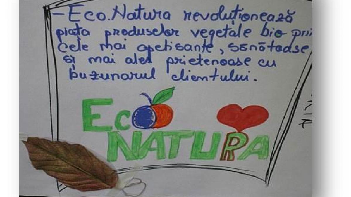 p regio servicii sociale mai bune pentru persoanele vulnerabile din judetul alba