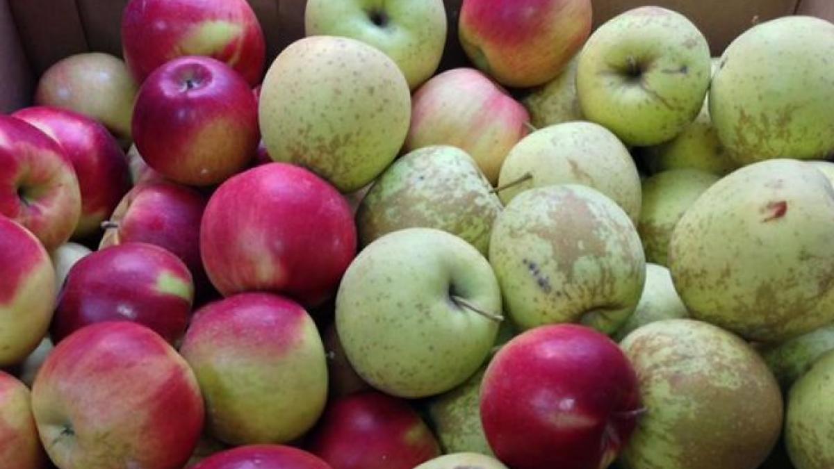 suntem foarte incantati ca exista oameni ca dumneavoastra gestul impresionant facut de un