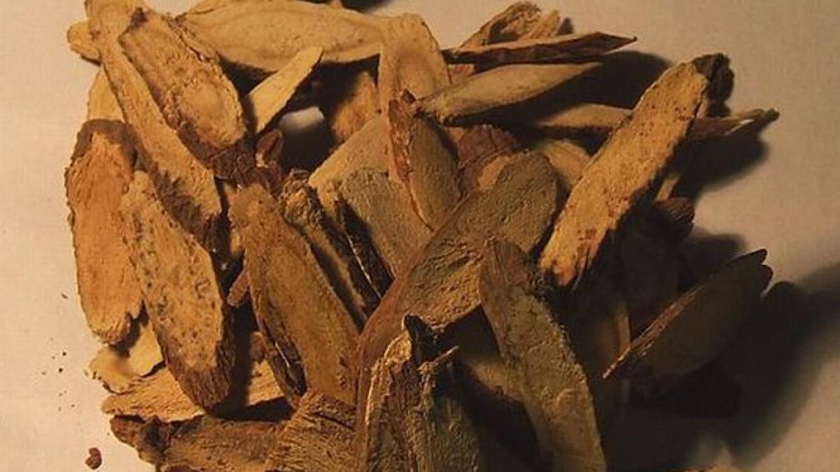 oamenii de stiinta au descoperit o substanta care incetineste evolutia cancerului de piele