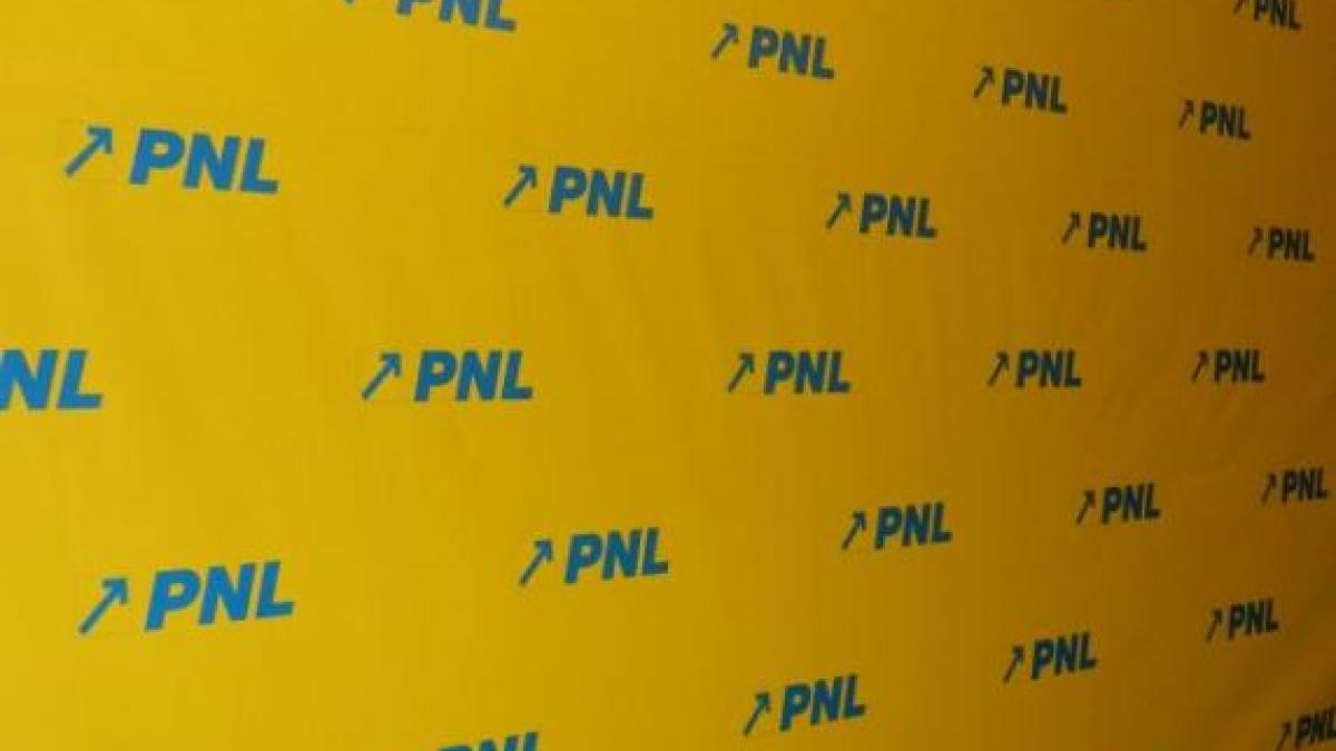 pnl cauta ministru la economie lista posibililor candidati pentru acest portofoliu