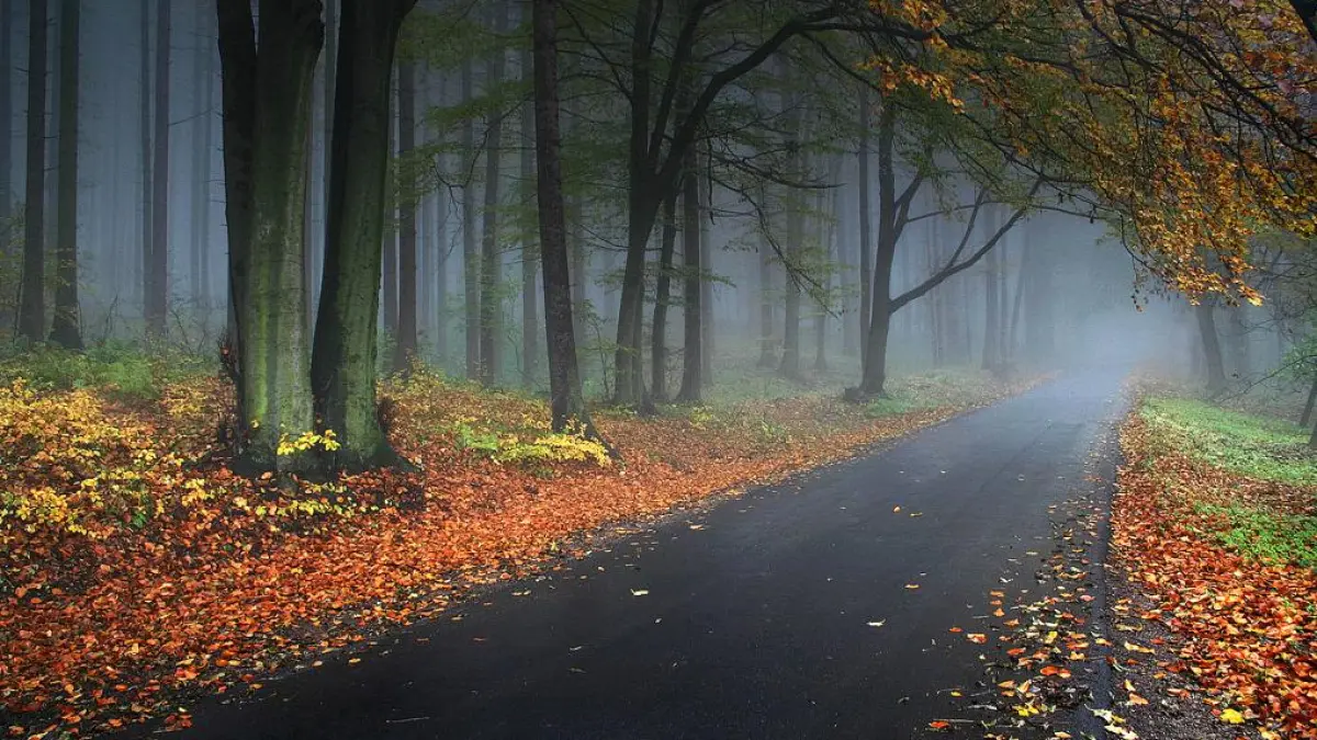 anm a emis o informare meteo de vreme rea care sunt zonele vizate