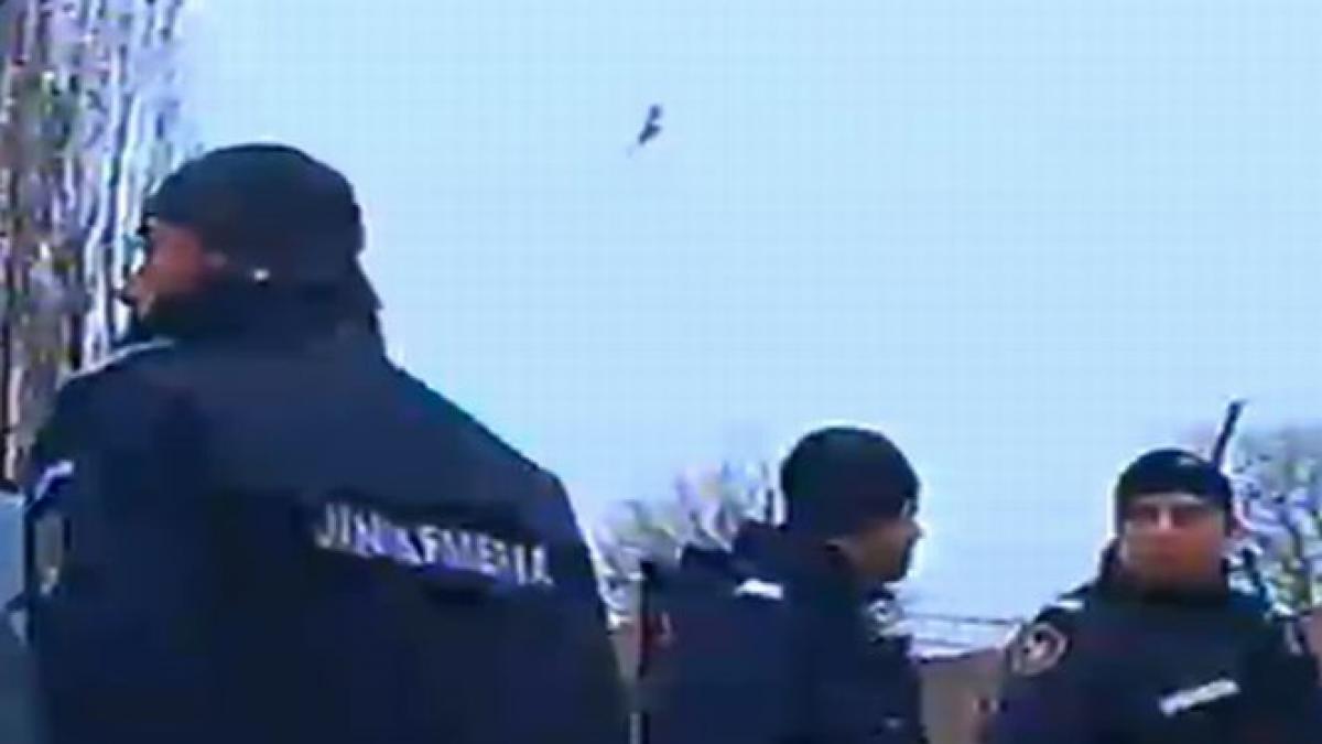 perchezitii la consiliul judetean timis intr un dosar care vizeaza nereguli cu fonduri europene