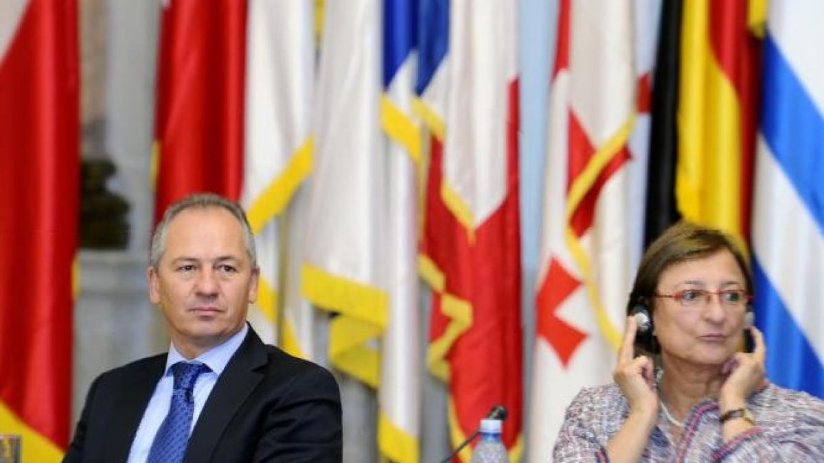 stelian stoian a primit avizul comisiilor de politica externa pentru postul de ambsador la nato