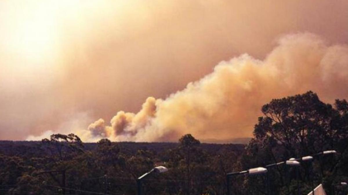 ipoteza socanta incendiile din australia sunt provocate