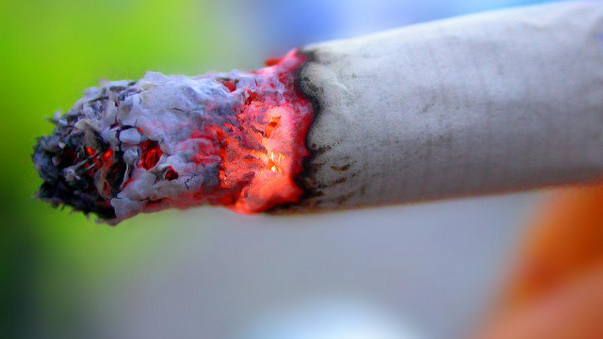 secretul care sta in spatele dependentei de tigari a fost gasit aviz fumatorilor care vor sa