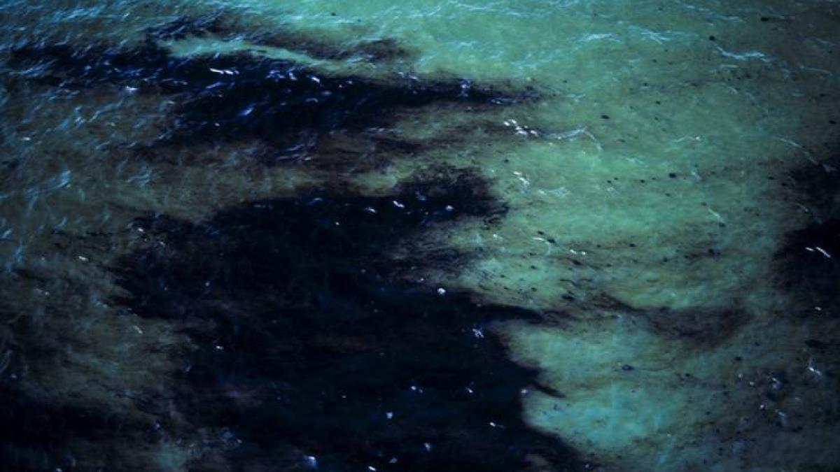 dezastru ecologic in arges trei tone de pacura au ajuns in raul care traverseaza orasul campulung