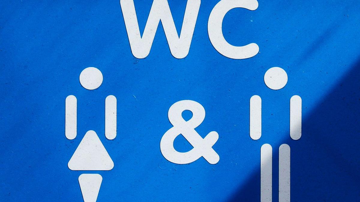 germanii cer ajutorul politistilor romani pentru a le explica conationalilor ca trebuie sa