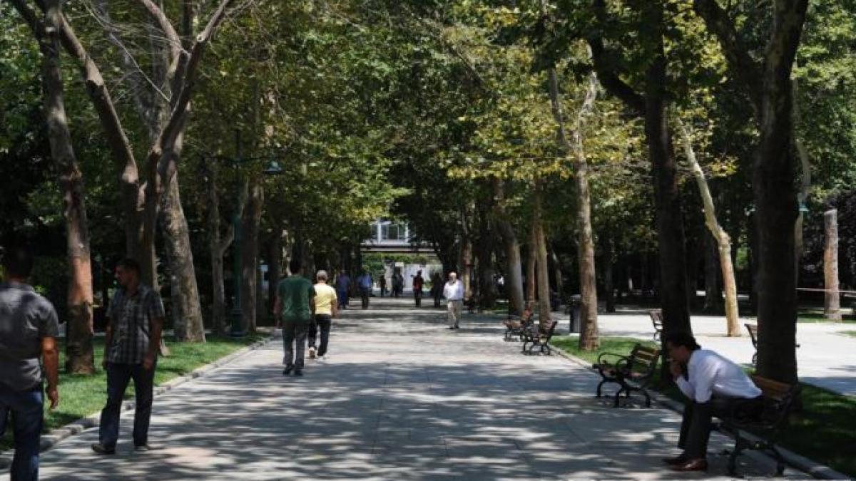 un grup de muzicieni si artisti turci a infiintat partidul gezi