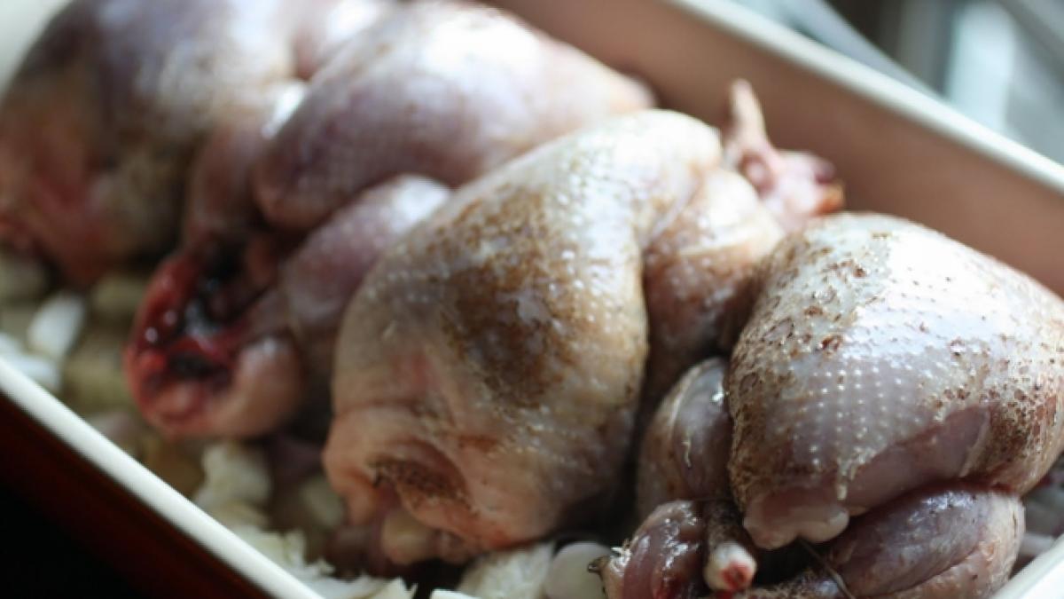 cluj patru tone de carne de pui de la avicola calarasi sub sechestru cu suspiciune de salmonella