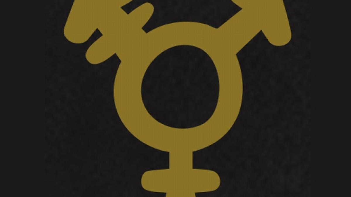 germania prima tara europeana care recunoaste al treilea sex decizia intra in vigoare din 1