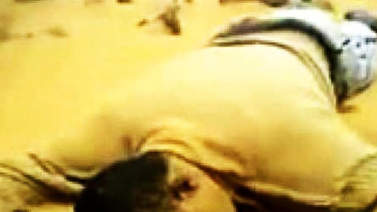 "Corpurile s-au descompus, este oribil. Le-am găsit în diverse locuri, pe o rază de 20 de kilometri". Descoperire sinistră în deşert