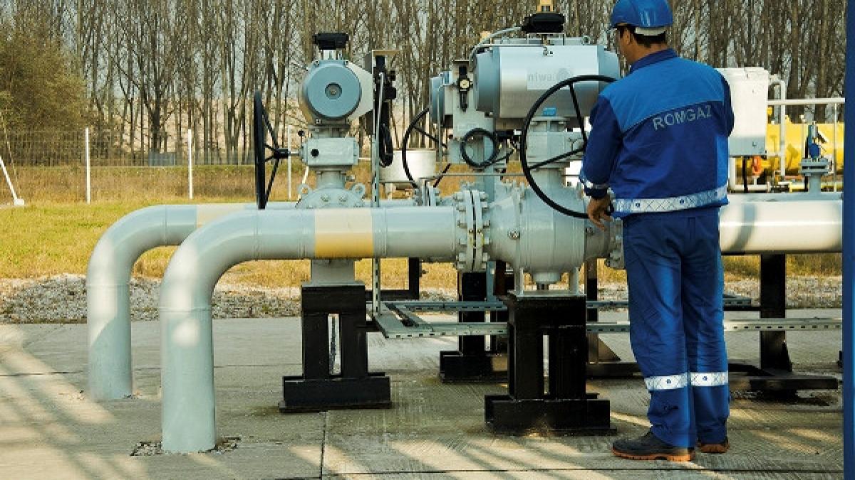 cat a obtinut statul roman din oferta romgaz a fost un succes