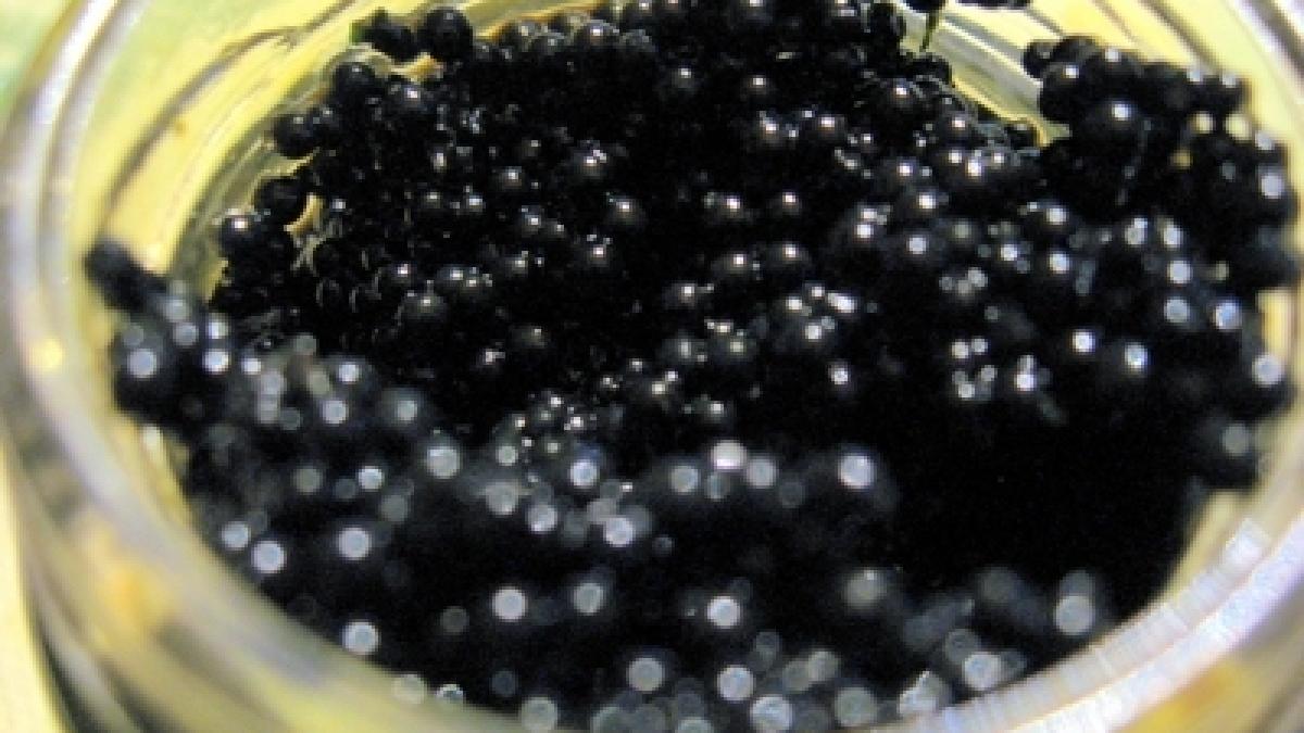 Un bărbat a fost prins în timp ce încerca să scoată din ţară icre negre în valoare de aproape 50.000 de euro