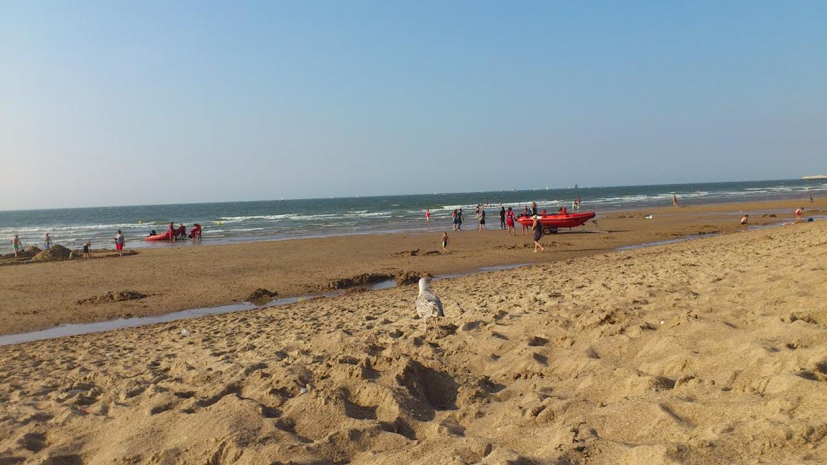 a fost atat de cald afara incat tinerii au facut baie in mare de cand se raceste vremea