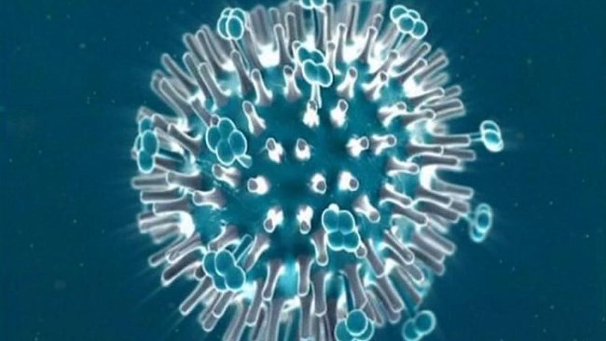 noul medicament minune impotriva gripei obtinut din muraturi