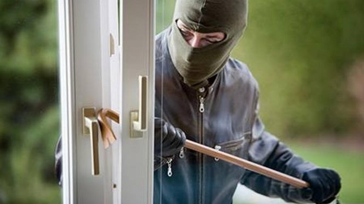 deratizau casele cu tot cu bani patru hoti au fost prinsi de politie