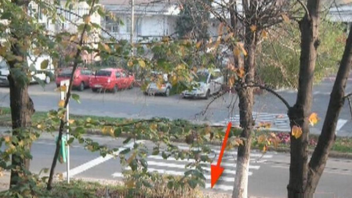 dorel a ajuns si la ploiesti spatiu verde fix in mijlocul trecerii de pietoni